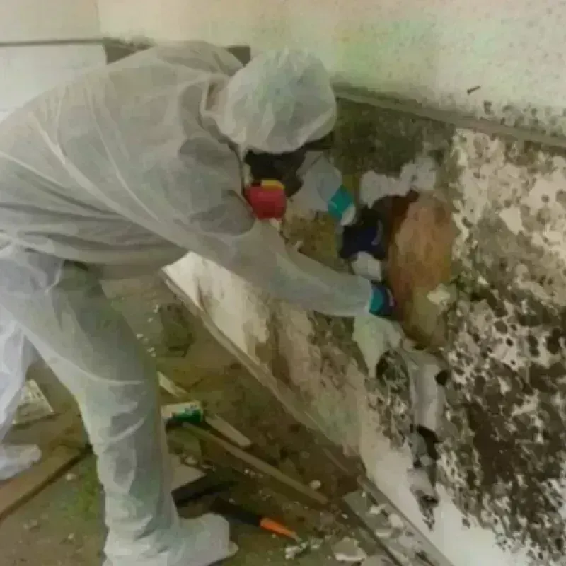 Mold Remediation and Removal in Charlestown, NH